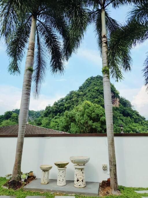 Lost World Luxury 5br/20 Pax/mahjong/karaok/bbq/garden Events Tambun